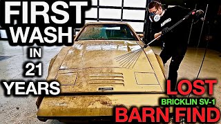 Most Disgusting Car Ever Barn Find First Wash in 24 Years Lost Bricklin SV1 [upl. by Avehs]