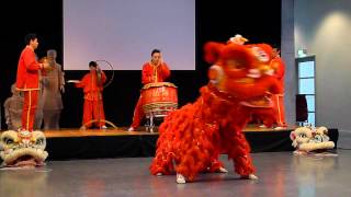 Chinese Lion Dance [upl. by Cesaro]