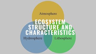 002 Ecosystem Structure and Characteristics Ecology Ecosystem [upl. by Shorter]