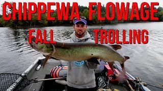 5 MINUTE Musky  Fall Trolling Tips [upl. by Cornelie405]