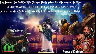 DNA Doesn’t Lie And Can’t Be Changed The Egyptian Blood In Negroes Is From The Egyptian Wives [upl. by Eleira]