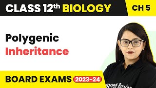 Class 12 Biology Ch5  Polygenic InheritancePrinciples of Inheritance amp Variation CBSENEET 202223 [upl. by Anya135]