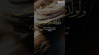 Surat Al Ibrahim  heart touching recitation 🧡 [upl. by Carmena30]