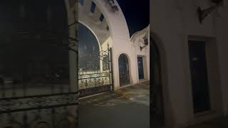 Al Manhal Palace abudhabivlogger uaelife subscribe ytshorts [upl. by Mickie200]