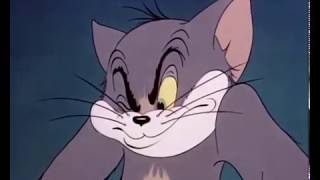 Tom and Jerry Episode 4 Fraidy Cat Part 3 [upl. by Chud]