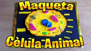 Como Hacer Una Maqueta De La Célula Animal [upl. by Elleirbag]