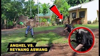 DAKILANG LABAN REYNANG ASWANG VS KUYA PIDO LABANANG HANGANG KAMATAYAN  SIGBIN LAST EPISODE [upl. by Vyner781]