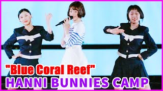 quotBlue Coral Reefquot Hanni NewJeans Solo Cover at Fan Meeting BUNNIES CAMP 2024 TokyoDome D2 2024627 [upl. by Trygve]