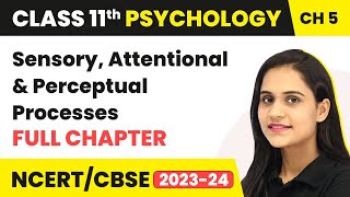 Sensory Attentional and Perceptual Processes  Full Chapter Explanation  Class 11 Psychology Ch 5 [upl. by Aliuqa]