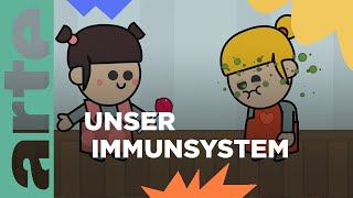 Wie funktioniert unser Immunsystem  Eure Fragen  ARTE Family [upl. by Annek888]