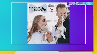 Skeffingtons Tuxedos and Tails Campaign raises funds for ARL of Iowa  Paid Content [upl. by Cran]