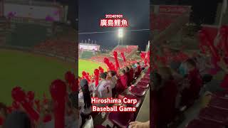 Hiroshima Carp Baseball Game廣島鯉魚棒球比賽 [upl. by Gilead]