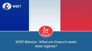 WSET Bitesize  What are Frances main wine regions [upl. by Moria787]