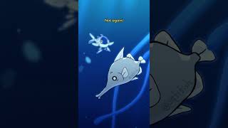 Man O War Fish ⛵🐟 animation original cartoon [upl. by Eanaj]