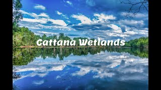 Adventure Queensland Cattana Wetlands [upl. by Matilda]