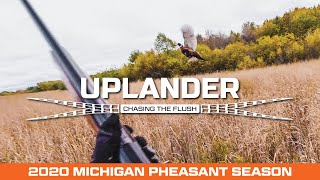 Hunting WILD Pheasants in Michigan 2020 Season Recap [upl. by Cayla56]