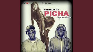 PICHA feat Dyana Cods [upl. by Llennaj]