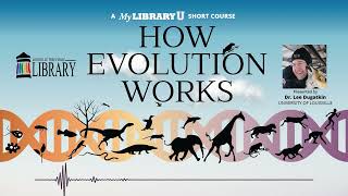 How Evolution Works with Dr Lee Dugatkin  Episode 3 [upl. by Aicilet973]