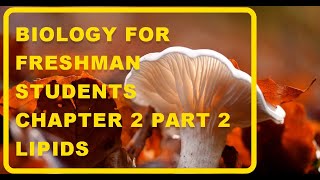 Biology for freshman students Chapter 2 Part 2 [upl. by Dallon]