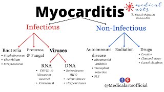 myocarditis explained  heart muscle inflammation  definition types causes symptoms treatment [upl. by Doowrehs]