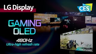 CES 2024 OLED’s first 480Hz ultrahigh refresh rate Highend gaming display  LG Display [upl. by Spalding]