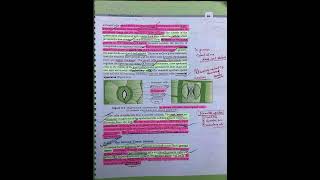 Anatomy of flowering plants [upl. by Milak]