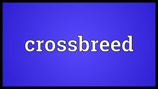 Crossbreed Meaning [upl. by Ahsaekal]