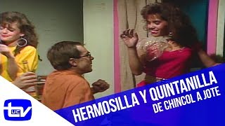 Hermosilla y Quintanilla Â¡El despido Parte 2  De Chincol a Jote [upl. by Em]