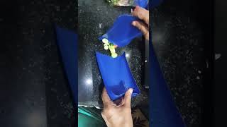 Making Dustpan with Harpic empty bottle [upl. by Eerahc]