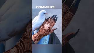 Mehandi ka design mehandi henna mehndi explore trending shorts subscribe [upl. by Tarryn]