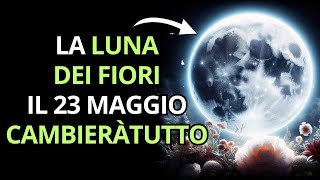 PREPARATI AL DECOLLO LA LUNA DEI FIORI DEL 23 MAGGIO SARÀ SPECIALE ✨ Dolores Cannon [upl. by Nipha]