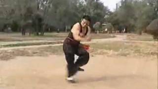 Dongbei Chuojiao  Wen Tangzi  Er Ba Quan 东北戳脚  文趟子：二八拳 [upl. by Sproul]