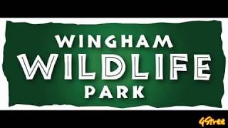 Wingham Wildlife Park [upl. by Sheila642]