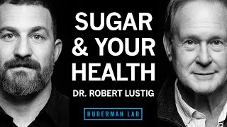 Dr Robert Lustig How Sugar amp Processed Foods Impact Your Health [upl. by Sherborn540]