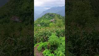 kotha chuk mundeya slowed and reverb kotha nature travel love dancesong jai mountains [upl. by Robbi]