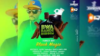 Yankey Boy  Black Magic Bwa Bande Riddim 2018 Soca [upl. by Bellew48]