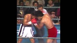 Roberto Duran vs Pipino Cuevas  1080p 60FPS  Highlights [upl. by Erdrich]