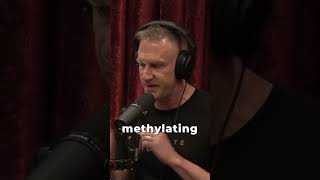 Everyone Should Take A Methylated Multivitamin with Gary Brecka and Joe Rogan [upl. by Corenda829]