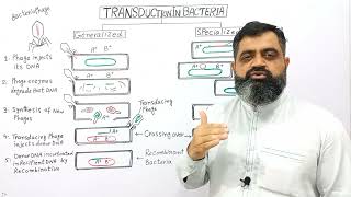 Transduction in Bacteria UrduHindi medium profmasoodfuzailtransduction [upl. by Singleton]