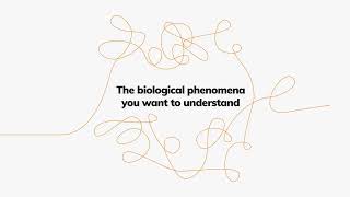 What is FIDA  Flow Induced Dispersion Analysis  insolution technology for protein interactions [upl. by Baldridge]