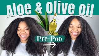 How I PREPOO my Hair with ALOE VERA and OLIVE OIL Updated Routine [upl. by Avot]