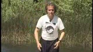 Dr Michael Mayer Tai Chi Ruler [upl. by Gaither827]