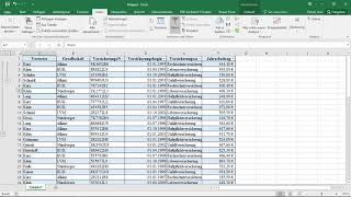 Excel Methodensammlung Tabelleneinträge gruppieren [upl. by Eednyl631]