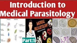 Introduction to Medical Parasitology Amharic Tutorial Part one [upl. by Anirret641]