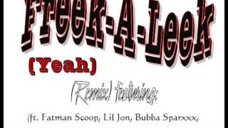 FreekALeek Remix ft Fatman Scoop Lil Jon Bubba Sparxxx Ludacris 50 Cent TrayDee [upl. by Raines]