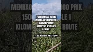 50 HECTARES À MALUKA MENKAO BITA 100100 PRIX 1500 DISPONIBLE 1 KILOMÈTRES DE LA ROUTE NATIONAL [upl. by Oric]