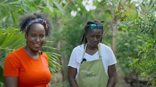 Knick Knacks  A Taste Of Nevis EP 5 [upl. by Frum]