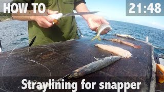 How To Straylining for Snapper amp 30lb Catch [upl. by Tinya823]