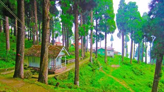 Lava Kalimpong ↑ Travel Guide 16 with Santanu Ganguly [upl. by Verda593]