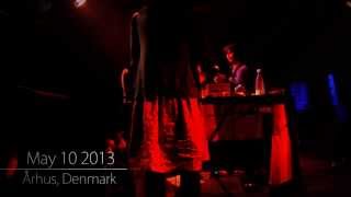 SHUGO TOKUMARU（トクマルシューゴ）LIVE IN EUROPE 2013 [upl. by Esenwahs308]